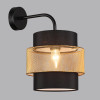 Светильник настенный 8003/1W Lumion Черный, золотой