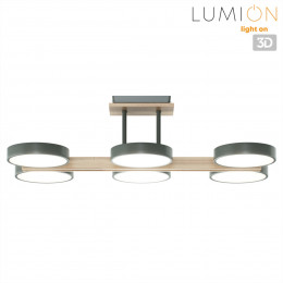 Светильник потолочный 8031/108CL Lumion Серый, дерево
