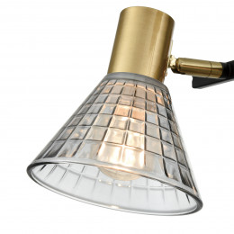 Люстра 8044/6C Lumion Черный, латунь, дымчатый
