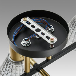 Люстра 8044/6C Lumion Черный, латунь, дымчатый