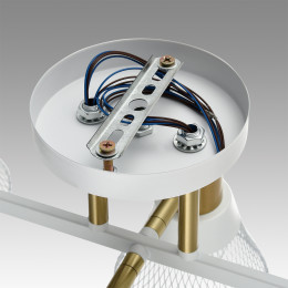 Люстра 8045/6C Lumion Белый, латунь, прозрачный