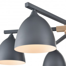 Люстра 8096/6C Lumion Серый