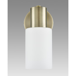 Светильник настенный 8100/1W Lumion Бронза, белый
