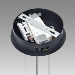Люстра 8103/38L Lumion Черный