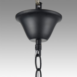Люстра 8106/8 Lumion Черный, золотой