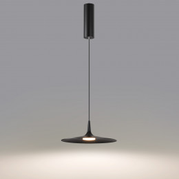 Светильник подвесной 7039/12L Odeon Light