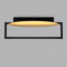 Светильник настенно-потолочный 7016/15WL Odeon Light Золотой