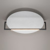 Светильник настенно-потолочный 7015/20WL Odeon Light Белый