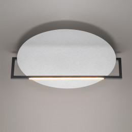 Светильник настенно-потолочный 7015/20WL Odeon Light Белый