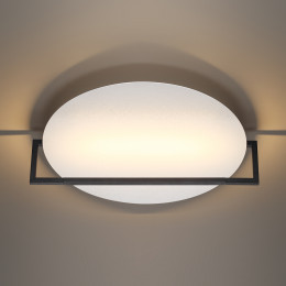 Светильник настенно-потолочный 7015/20WL Odeon Light Белый
