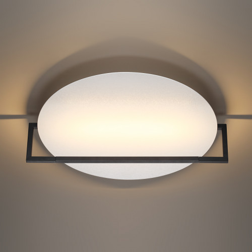 Светильник настенно-потолочный 7015/20WL Odeon Light Белый