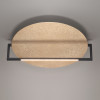 Светильник настенно-потолочный 7016/20WL Odeon Light Золотой