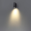 Светильник настенный 7071/8WL Odeon Light Черный