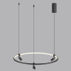 Светильник подвесной 7026/52L Odeon Light Черный