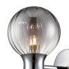 Светильник настенный 8114/2W Lumion Металл, стекло