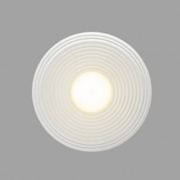 Светильник потолочный 7035/20CA Odeon Light Белый/серый