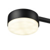 Люстра 8187/4C Lumion Черный
