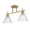 Светильник потолочный 8188/2C Lumion Металл, стекло
