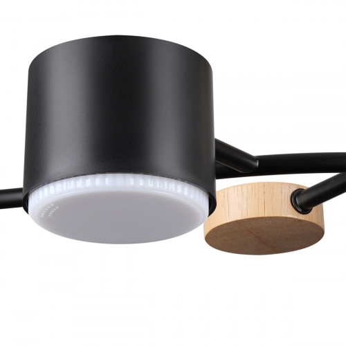 Светильник потолочный 8194/5C Lumion Черный, дерево