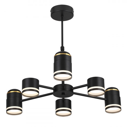 Люстра 8234/6C Lumion Металл, акрил