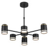 Люстра 8234/6C Lumion Металл, акрил