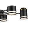 Люстра 8234/6C Lumion Металл, акрил