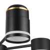 Люстра 8234/6C Lumion Металл, акрил