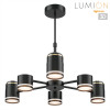 Люстра 8234/6C Lumion Металл, акрил