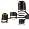 Люстра 8234/8C Lumion Металл, акрил