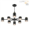 Люстра 8234/8C Lumion Металл, акрил