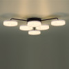 Люстра 8236/6CL Lumion Металл, акрил