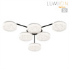 Люстра 8236/6CL Lumion Металл, акрил