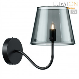 Светильник настенный 6570/1W Lumion Черный, дымчатый