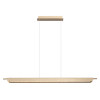 Светильник подвесной 7018/40LA Odeon Light