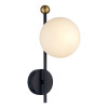 Светильник настенный 6581/1W Lumion Черный, золотой