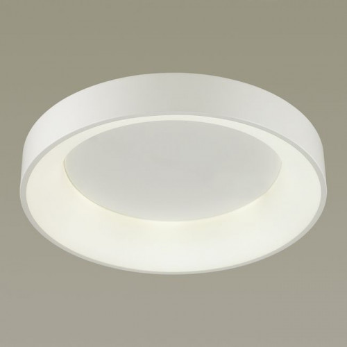 Светильник потолочный 4062/50CL Odeon Light Белый/серый