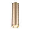 Светильник накладной 3828/1C Odeon Light Золотистый