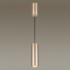 Светильник накладной 3828/1C Odeon Light Золотистый