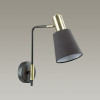 Светильник настенный 3638/1W Lumion Черный