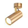 Светильник потолочный 3876/1C Odeon Light Золотистый