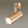 Светильник потолочный 3876/1C Odeon Light Золотистый