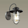 Светильник настенный 4171/1W Odeon Light Черный/прозрачный