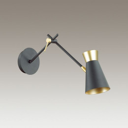 Светильник настенный 3790/1W Lumion Матовый черный, золотой