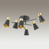 Люстра 3790/6C Lumion Матовый черный, золотой