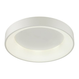 Светильник потолочный 4066/40CL Odeon Light Белый
