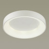 Светильник потолочный 4066/40CL Odeon Light Белый