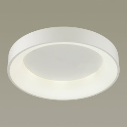 Светильник потолочный 4066/40CL Odeon Light Белый