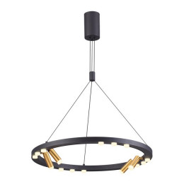 Светильник подвесной 3918/48L Odeon Light Черный/золотистый