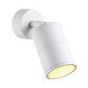 Светильник настенно-потолочный 4208/1C Odeon Light Белый