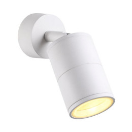 Светильник настенно-потолочный 4208/1C Odeon Light Белый